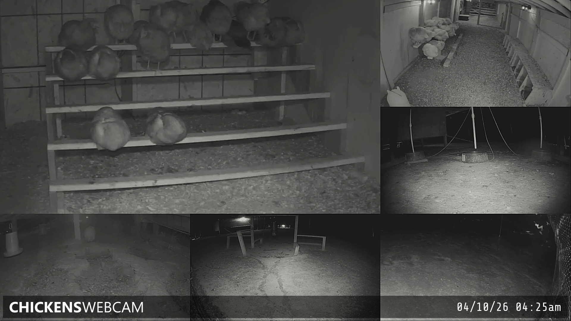 Twitch Stream Preview