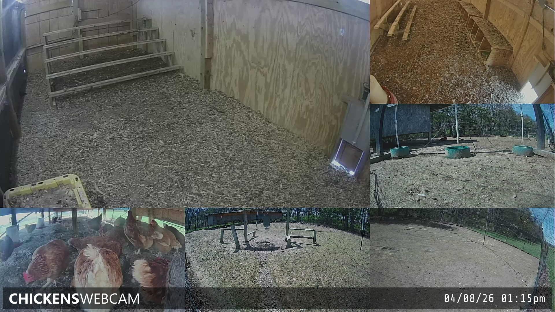 Twitch Stream Preview