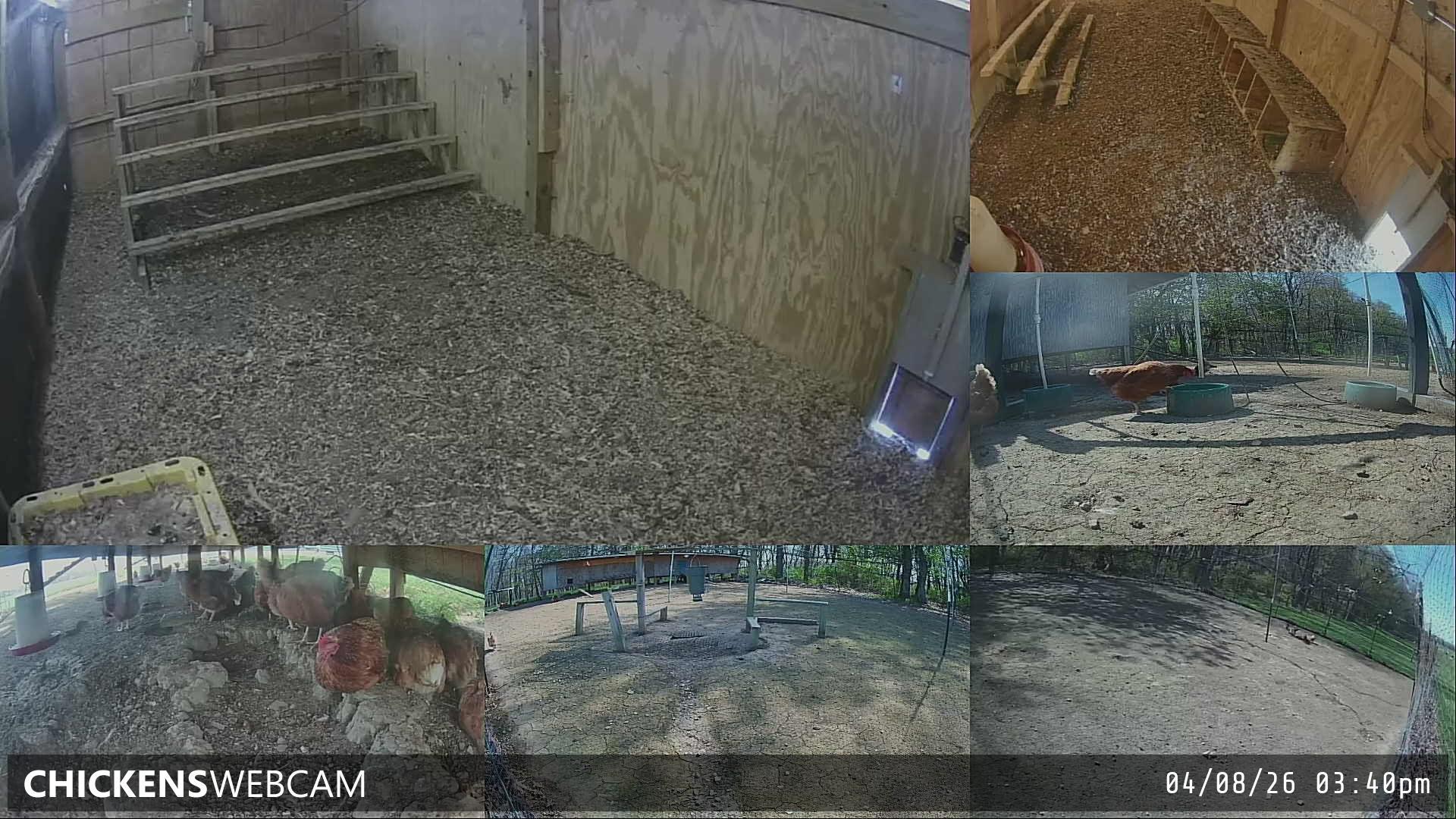 Twitch Stream Preview