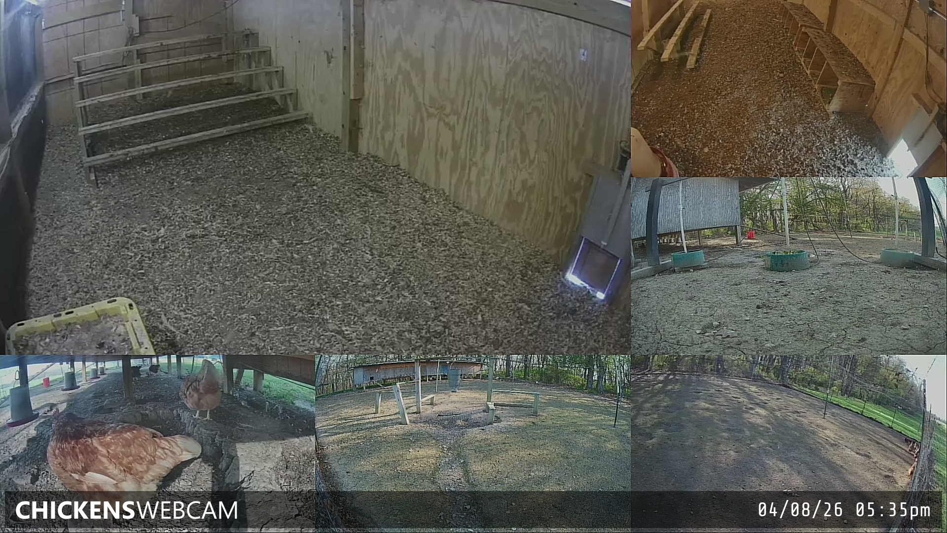 Twitch Stream Preview