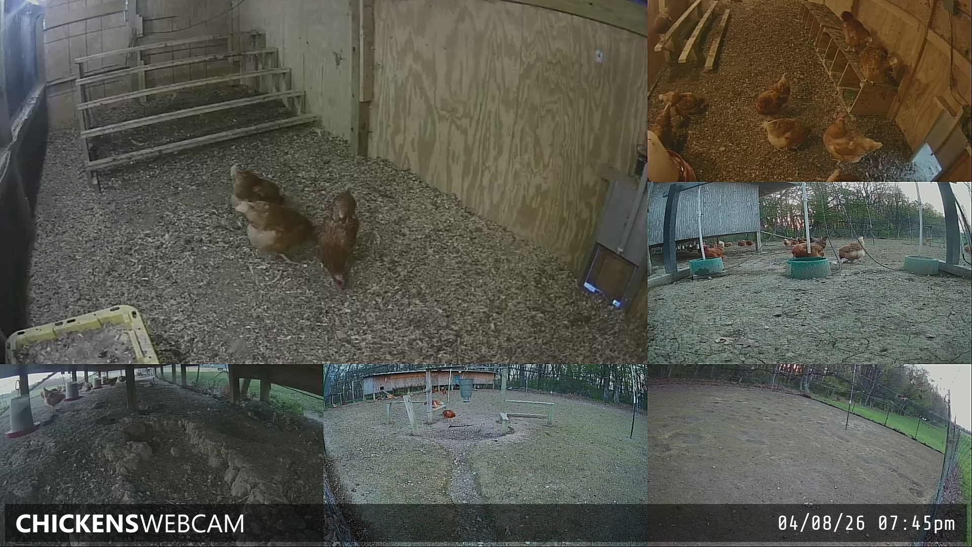 Twitch Stream Preview