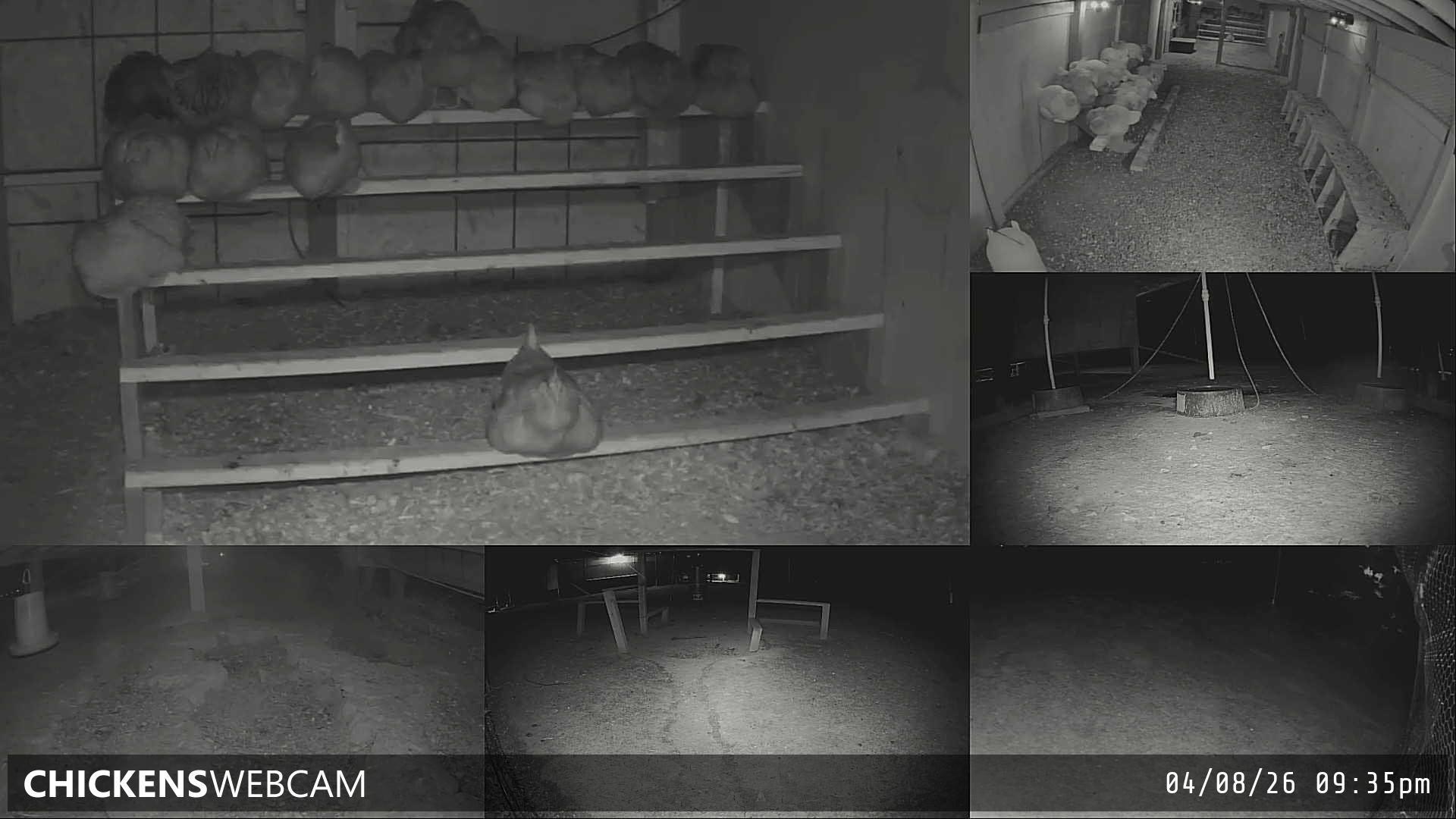 Twitch Stream Preview