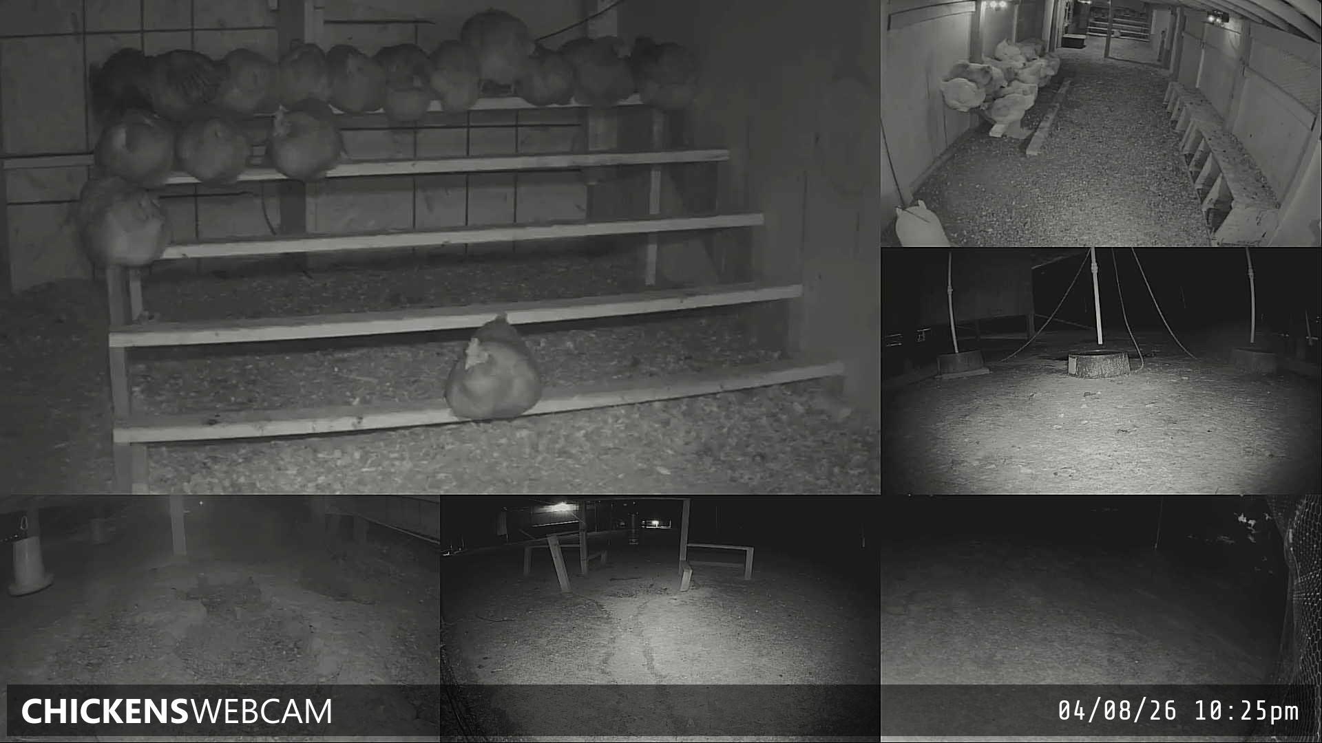 Twitch Stream Preview