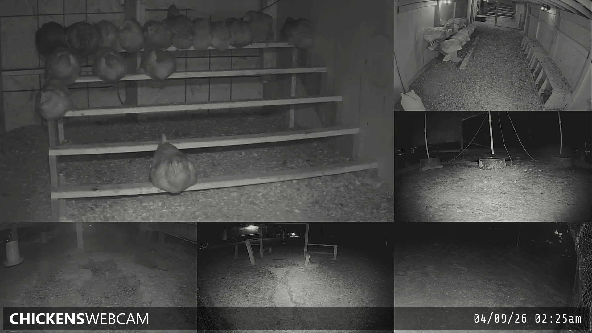 Twitch Stream Preview