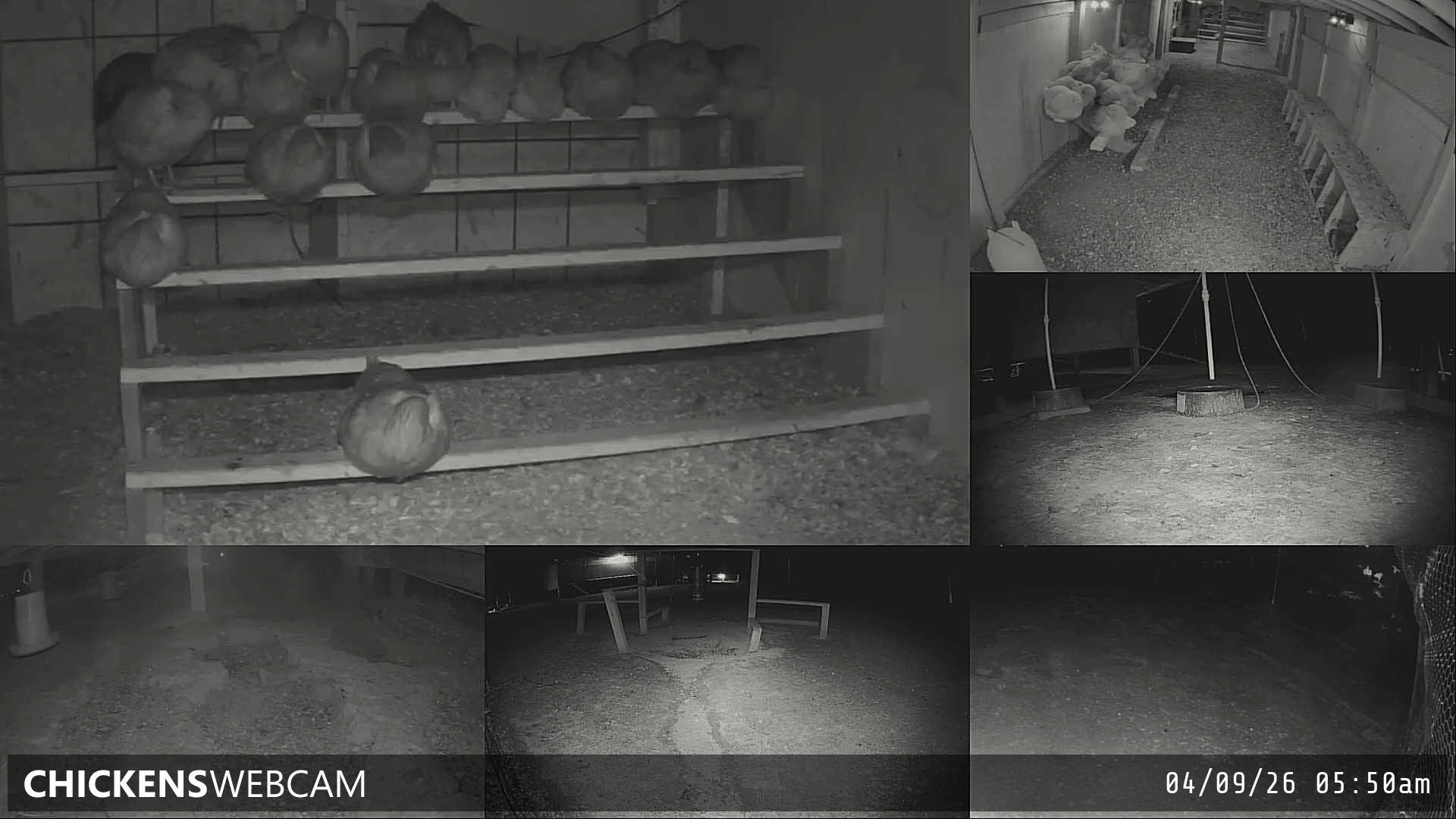 Twitch Stream Preview