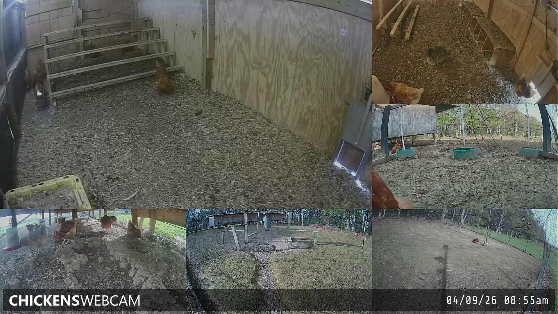 Twitch Stream Preview