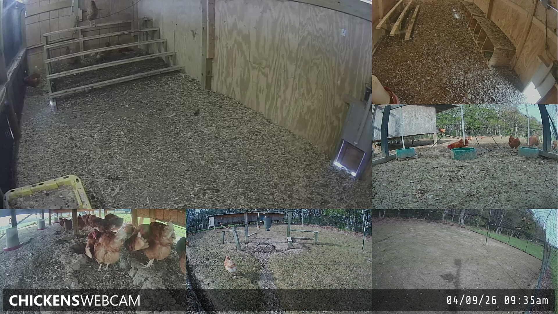 Twitch Stream Preview