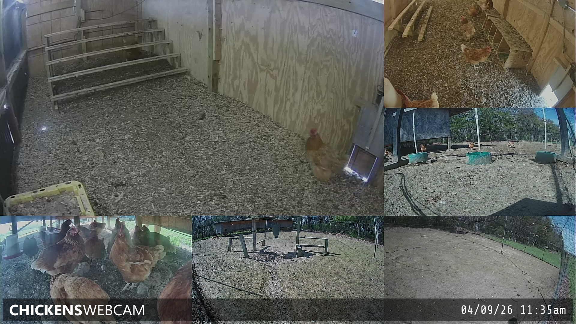 Twitch Stream Preview