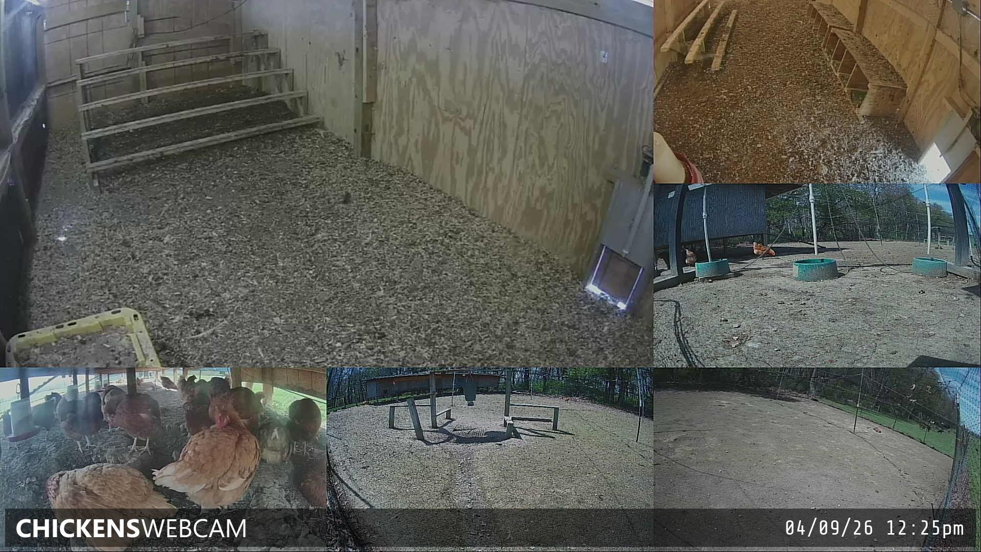 Twitch Stream Preview