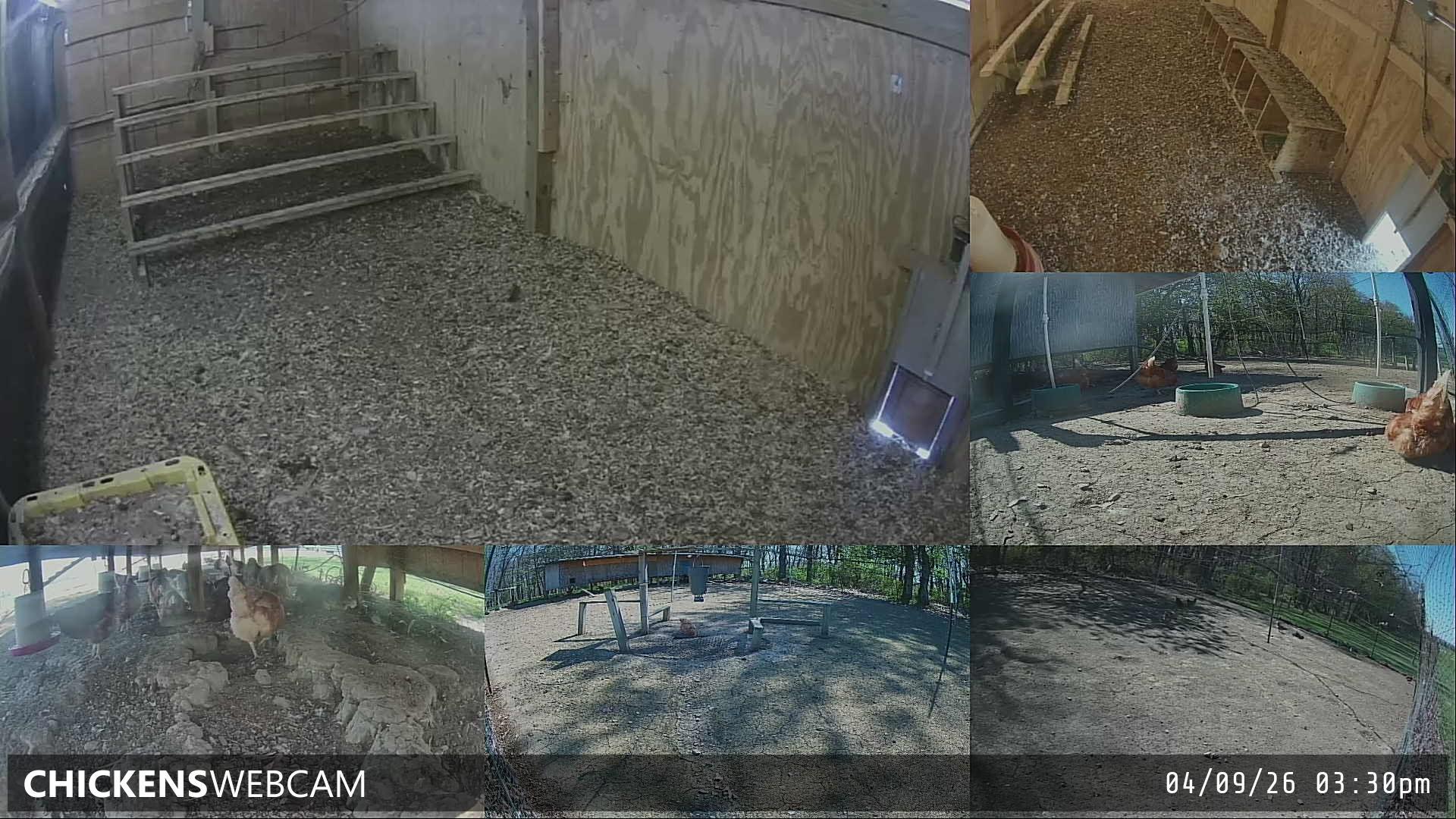 Twitch Stream Preview