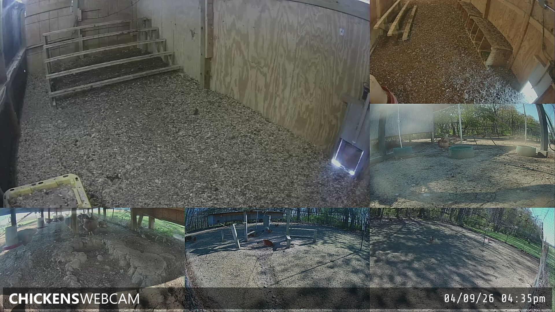 Twitch Stream Preview