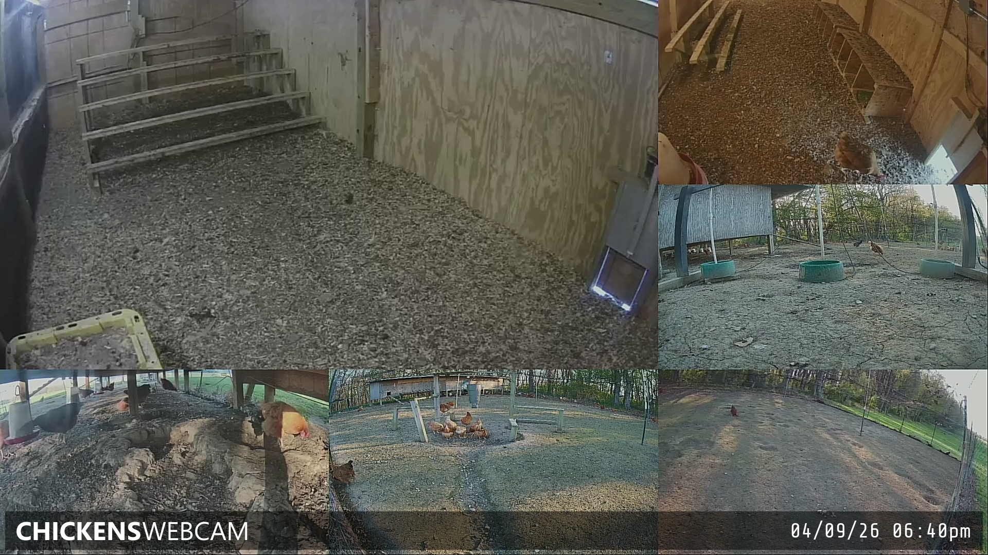 Twitch Stream Preview