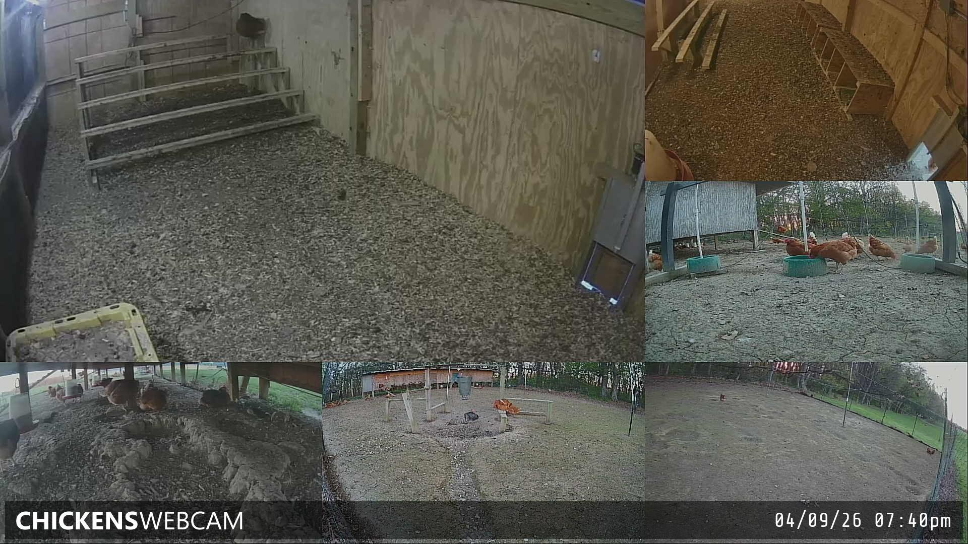 Twitch Stream Preview