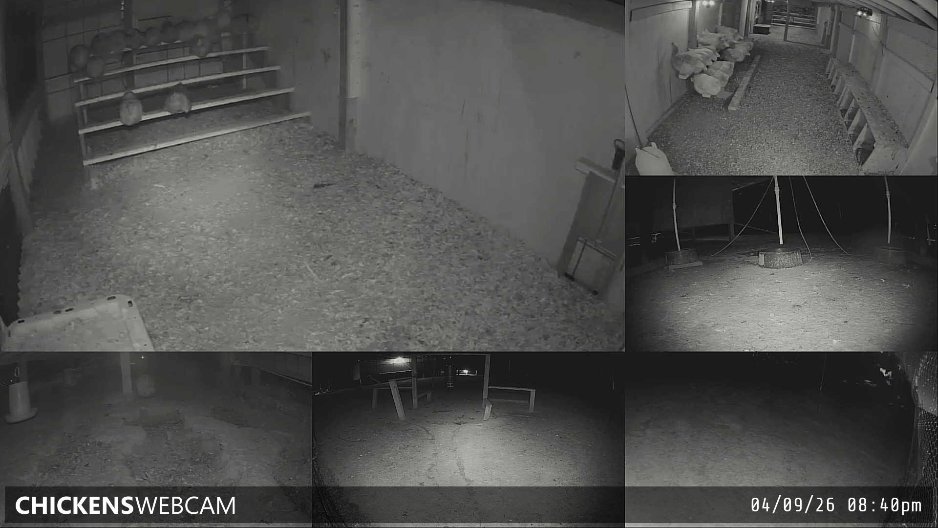 Twitch Stream Preview