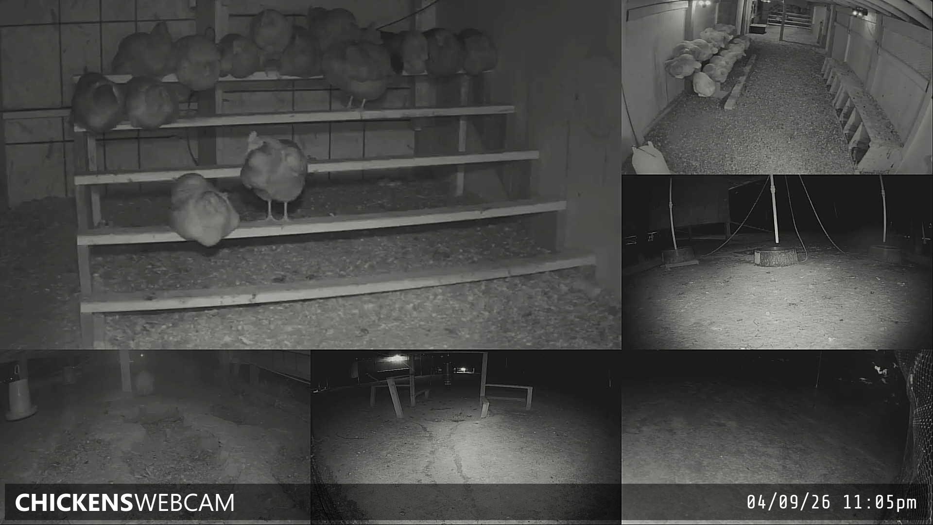 Twitch Stream Preview