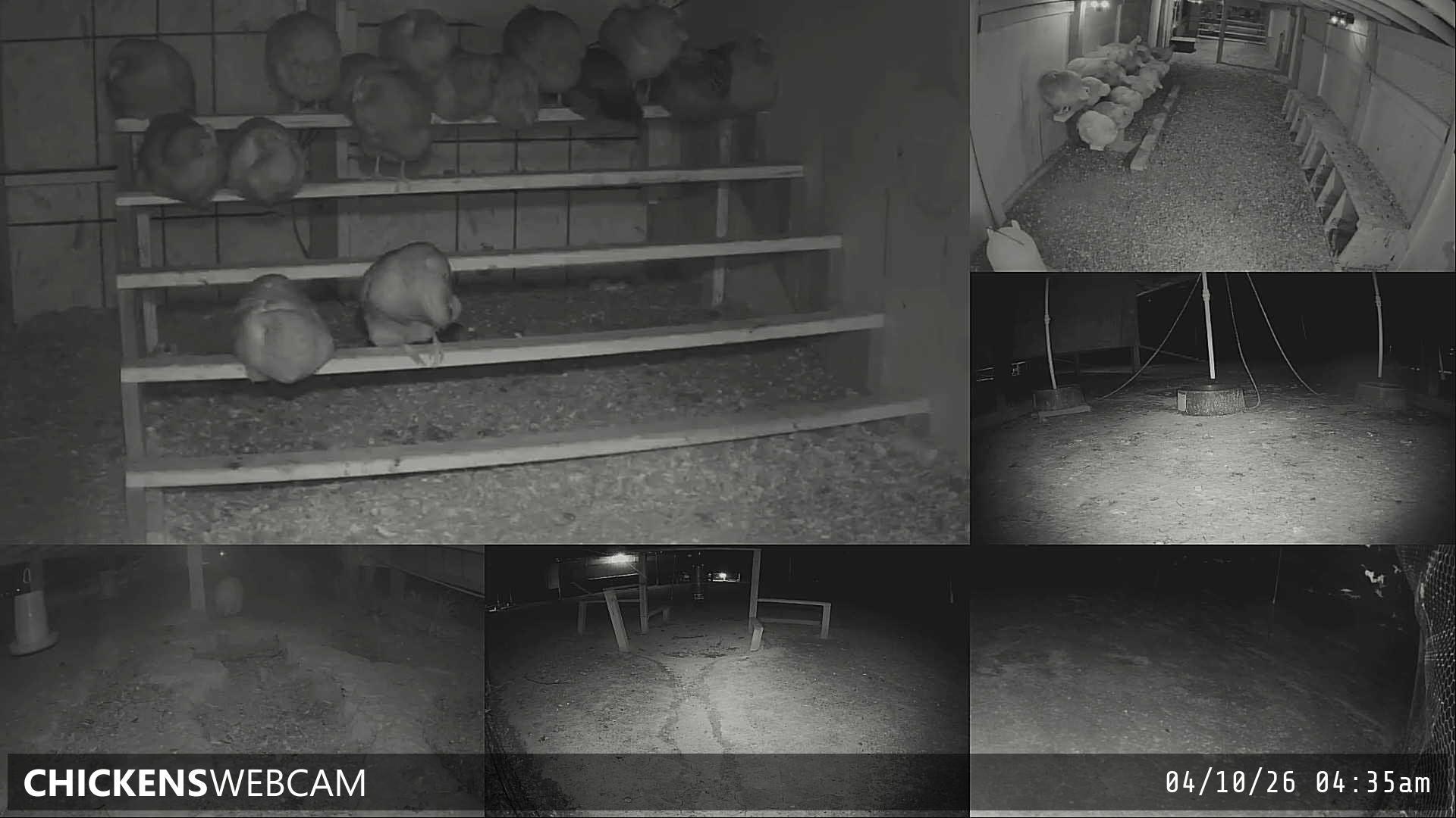 Twitch Stream Preview