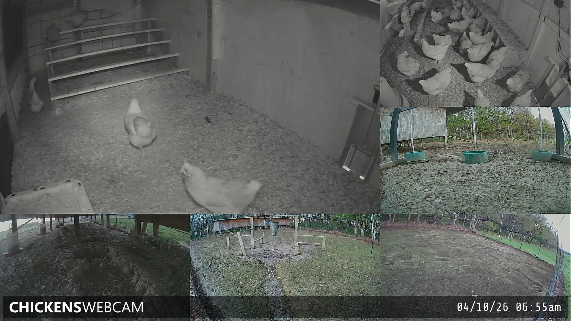 Twitch Stream Preview