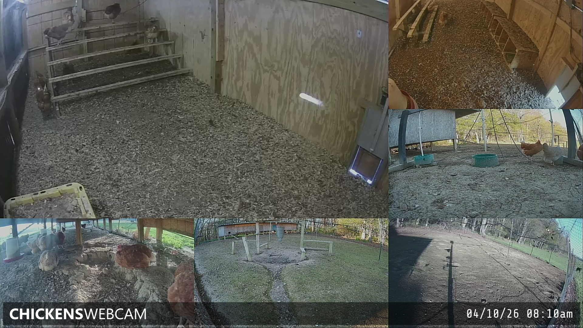 Twitch Stream Preview