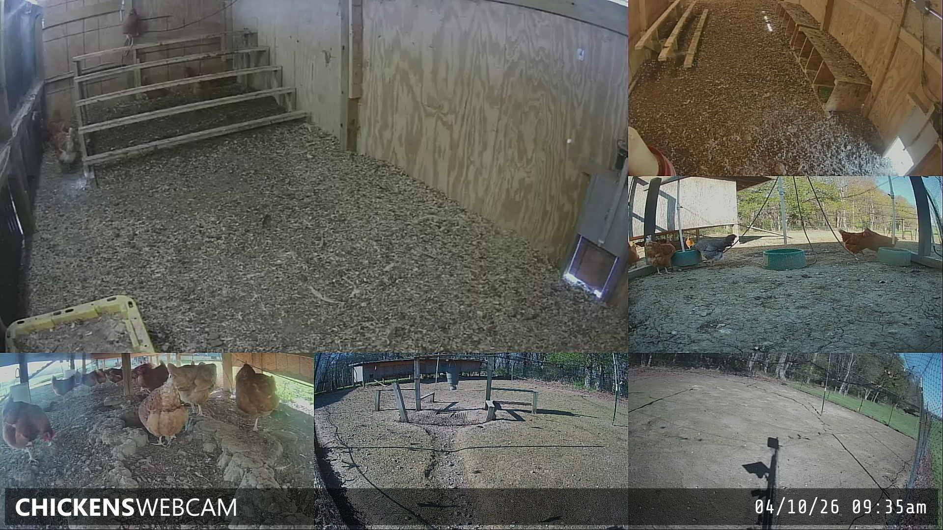 Twitch Stream Preview