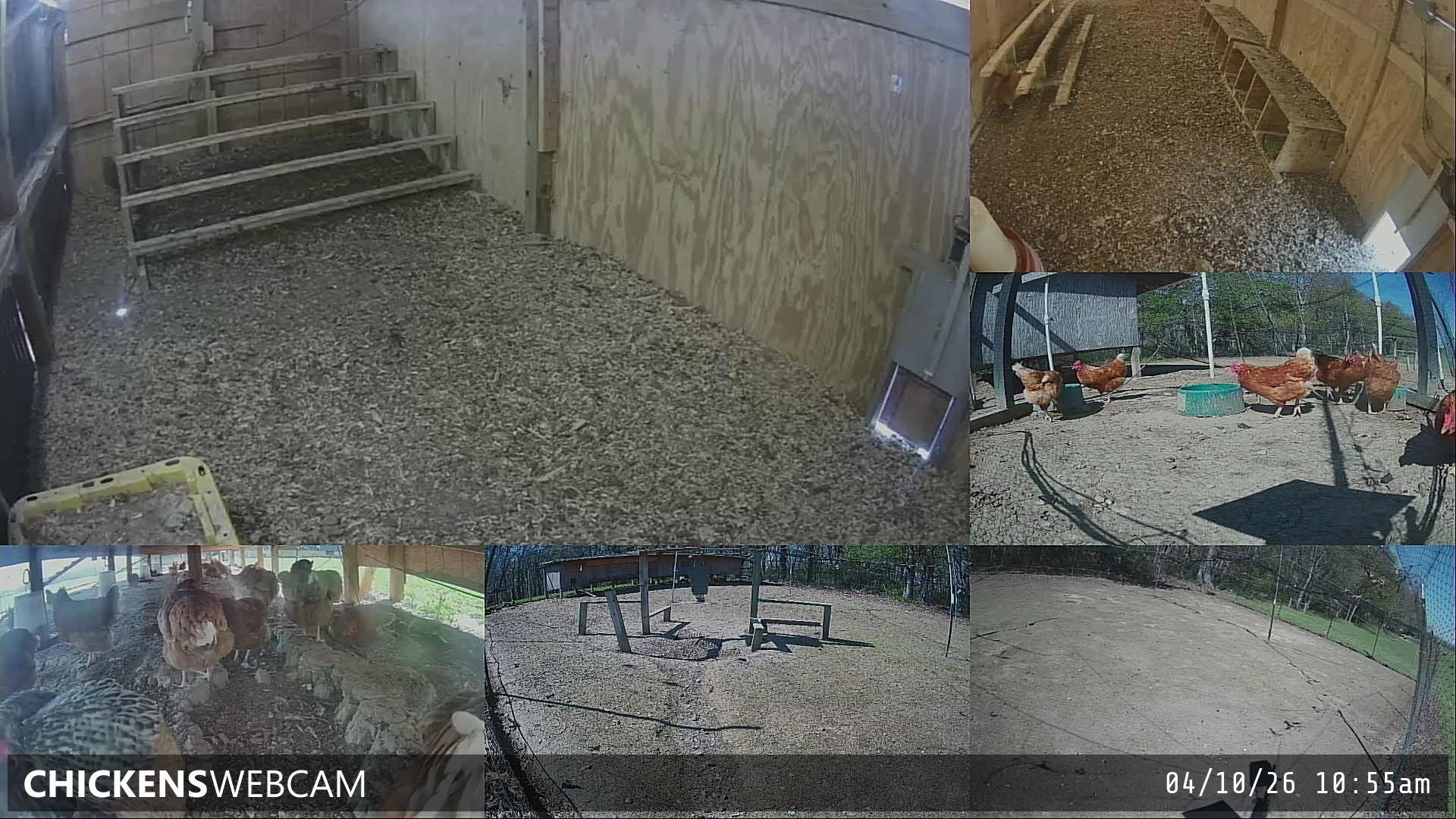 Twitch Stream Preview