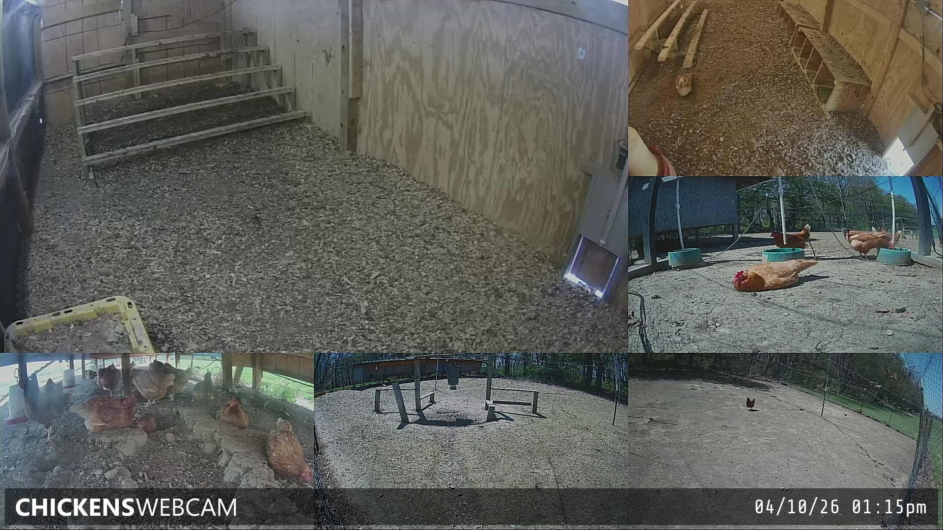 Twitch Stream Preview