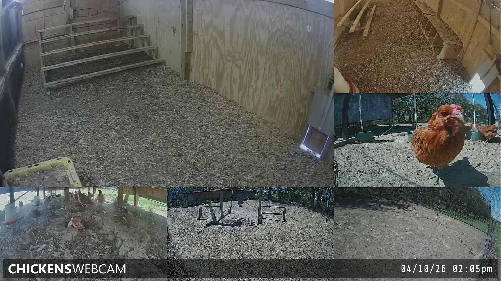 Twitch Stream Preview