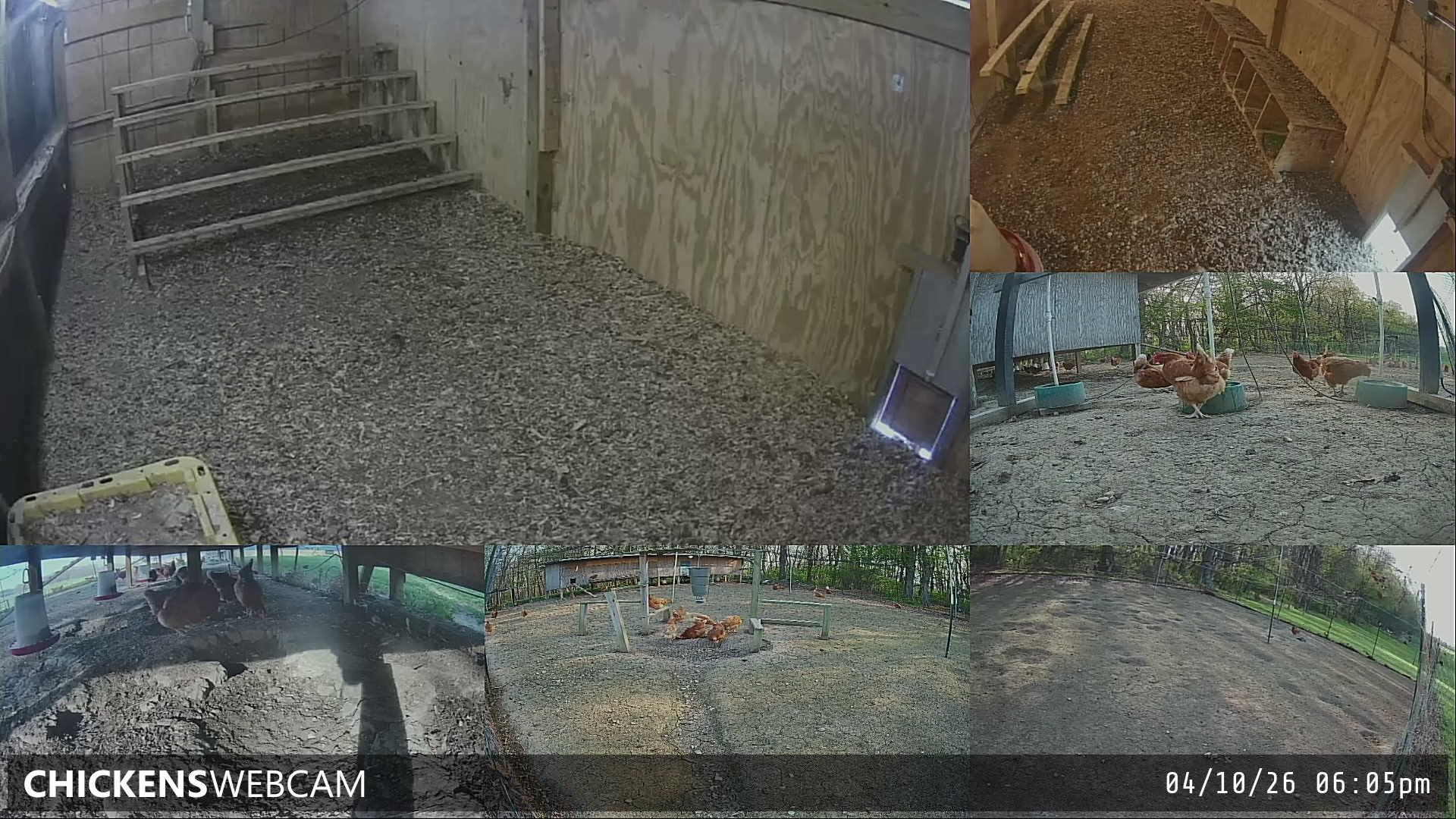 Twitch Stream Preview