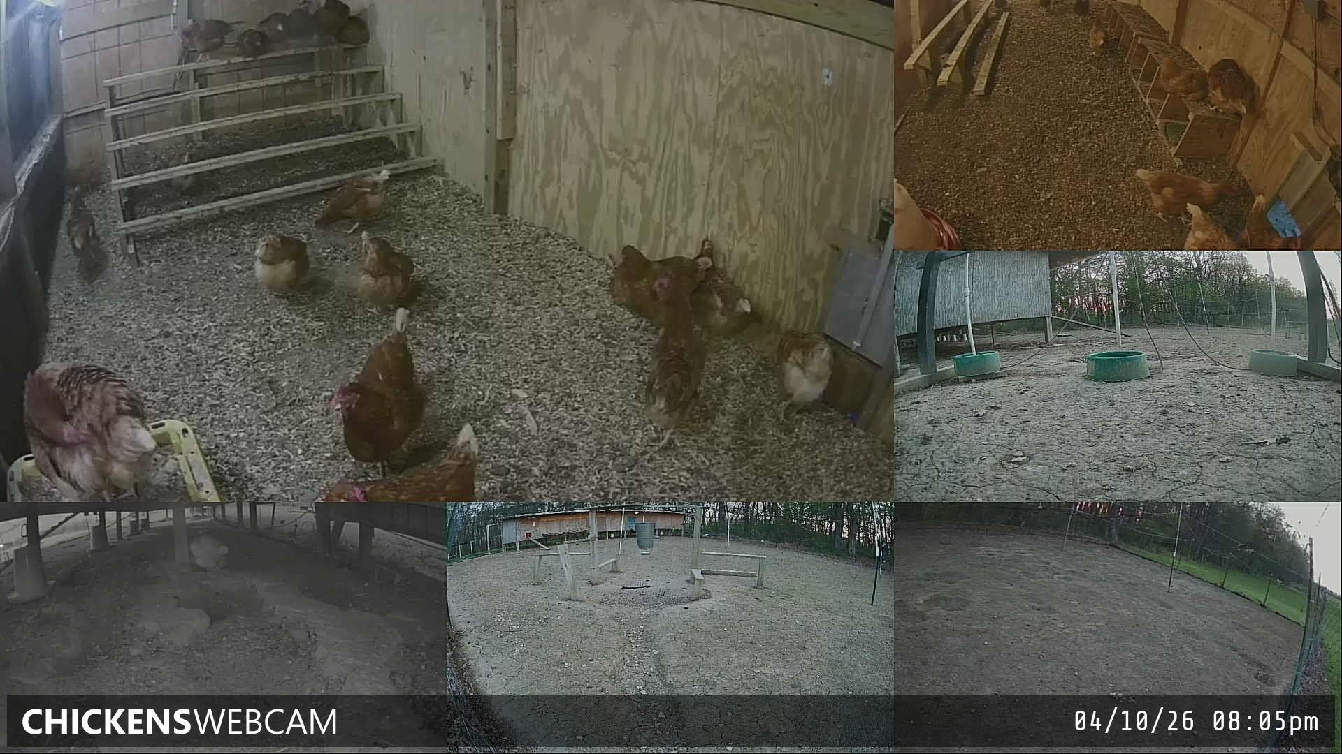 Twitch Stream Preview