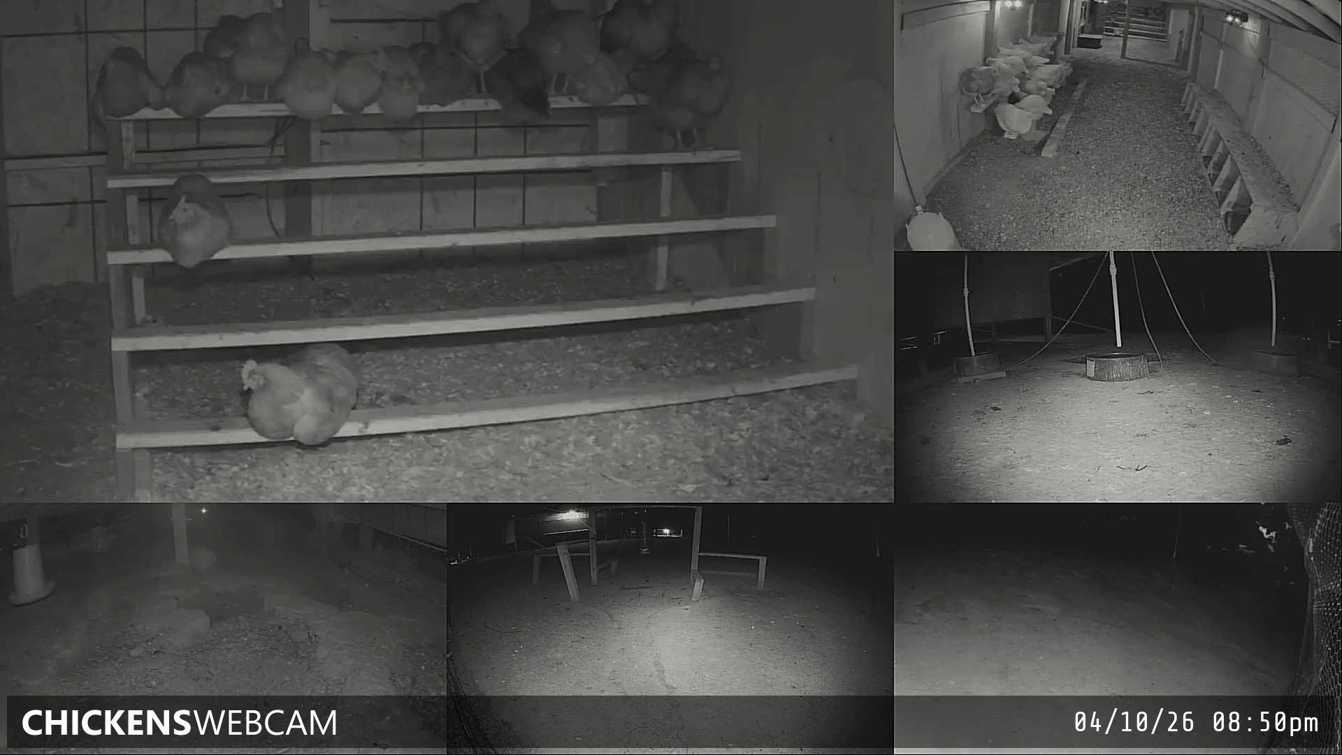 Twitch Stream Preview