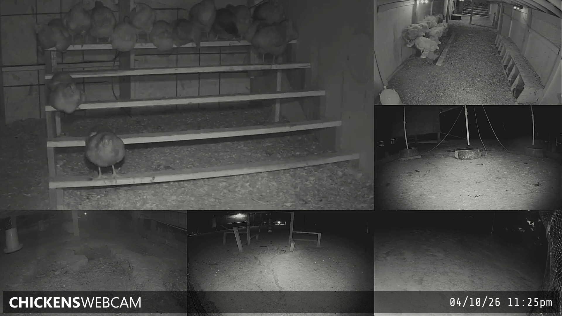 Twitch Stream Preview