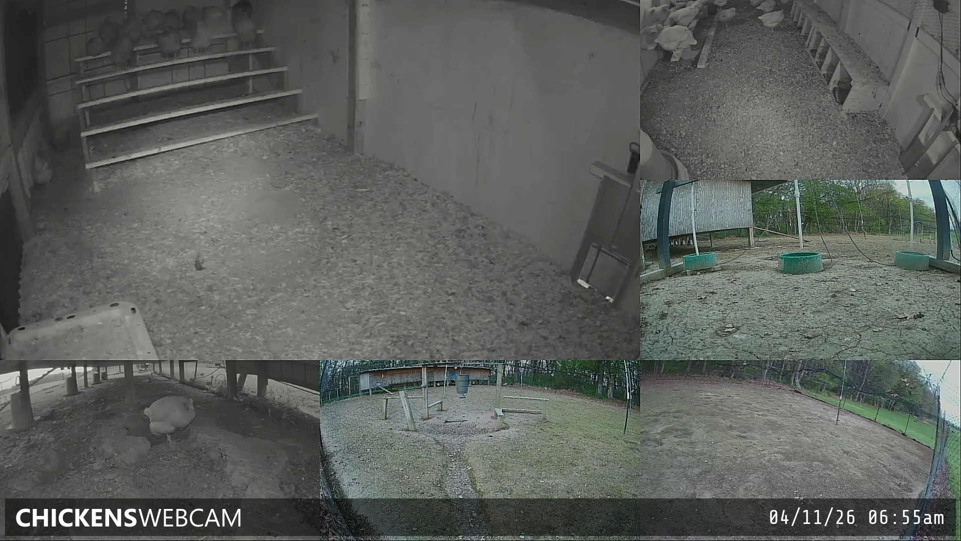 Twitch Stream Preview