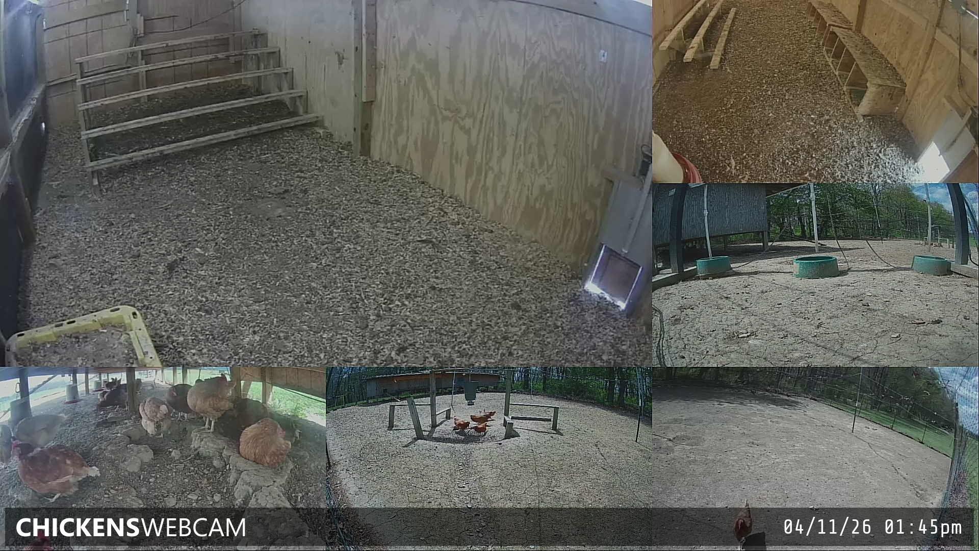 Twitch Stream Preview