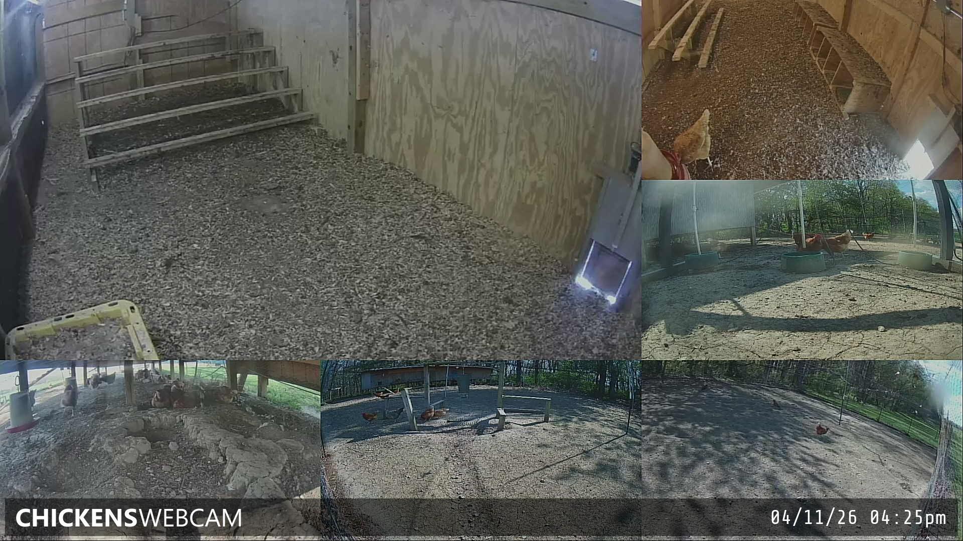 Twitch Stream Preview