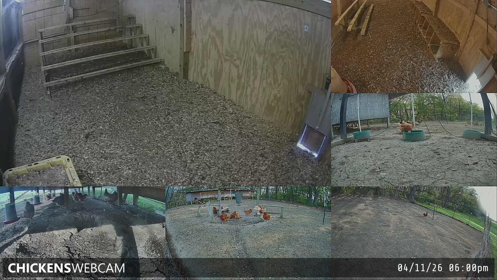 Twitch Stream Preview