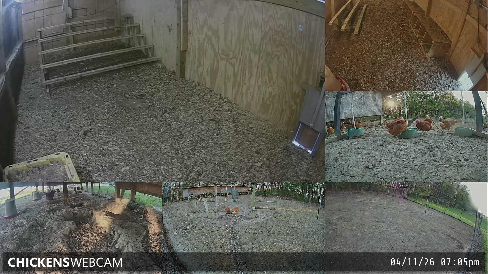 Twitch Stream Preview