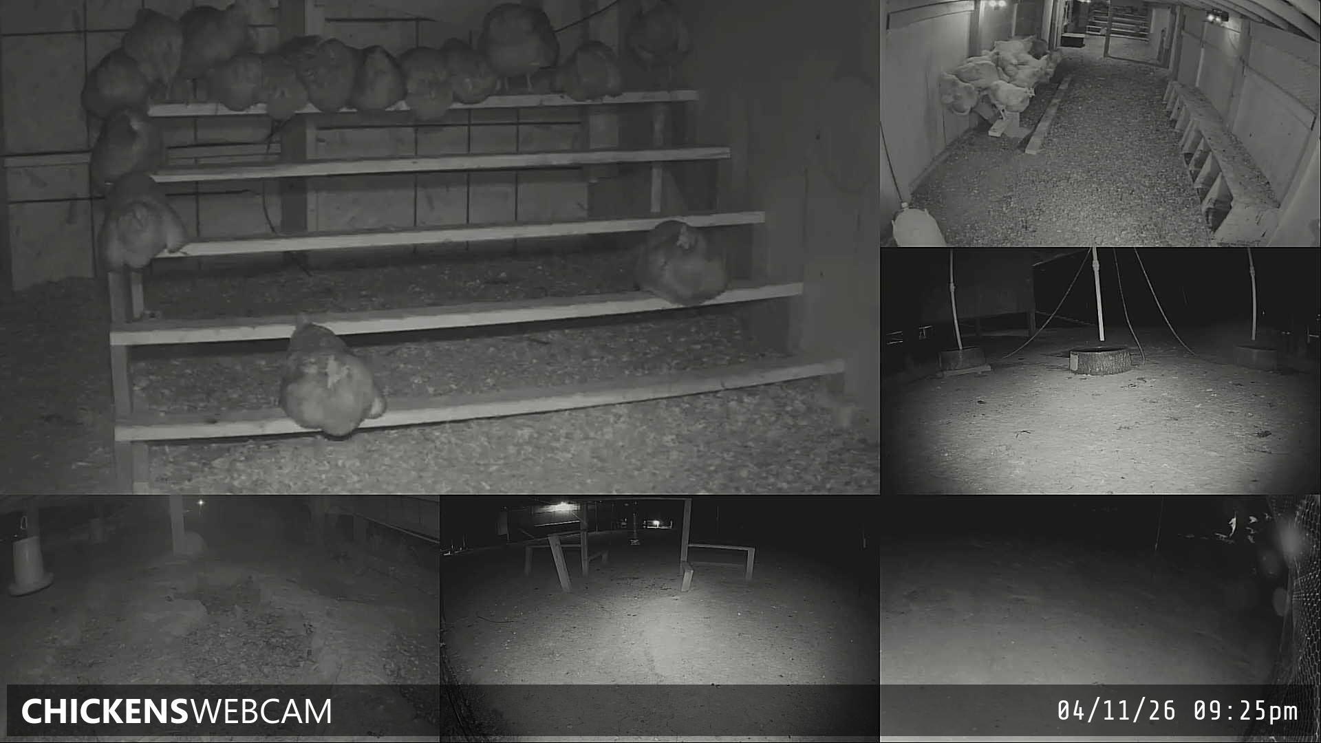 Twitch Stream Preview