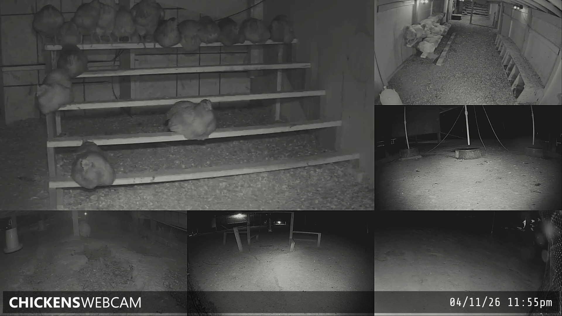 Twitch Stream Preview