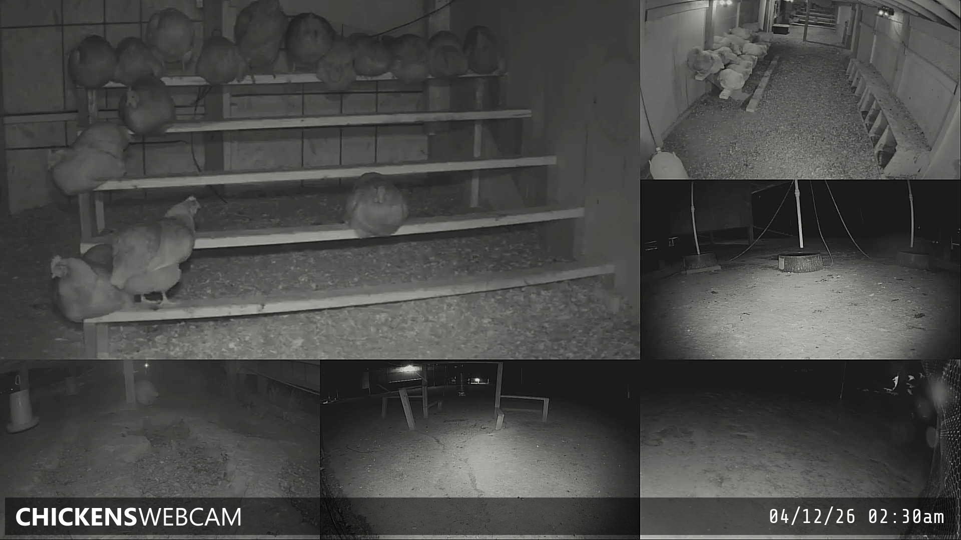 Twitch Stream Preview