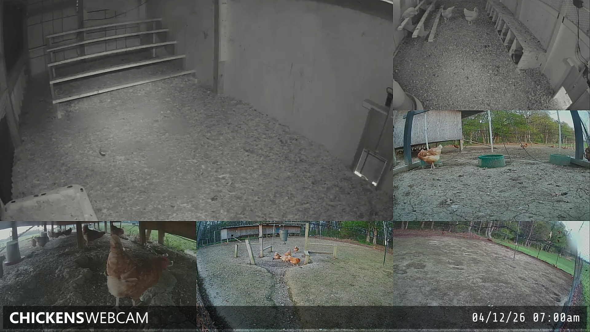 Twitch Stream Preview