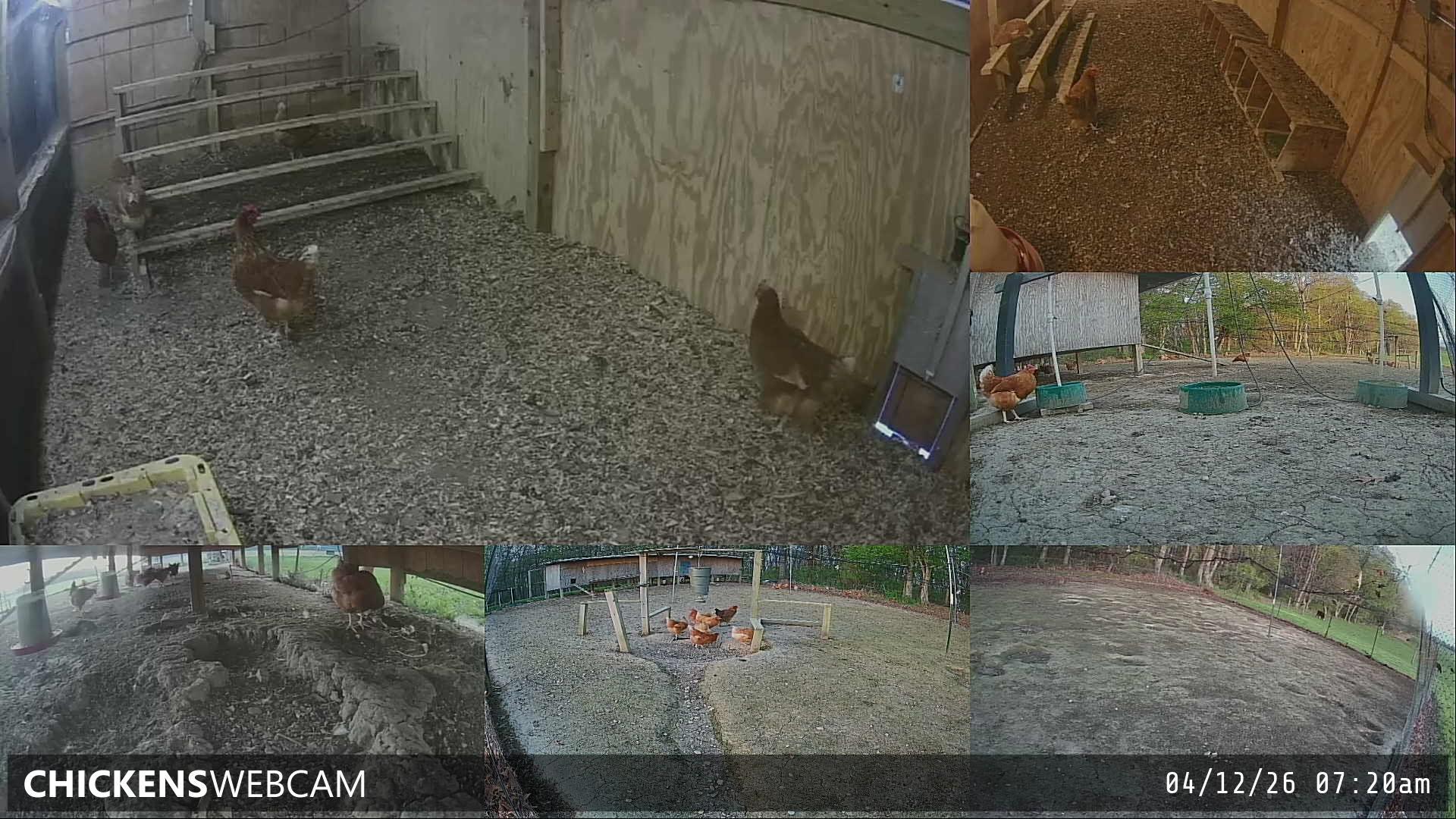 Twitch Stream Preview