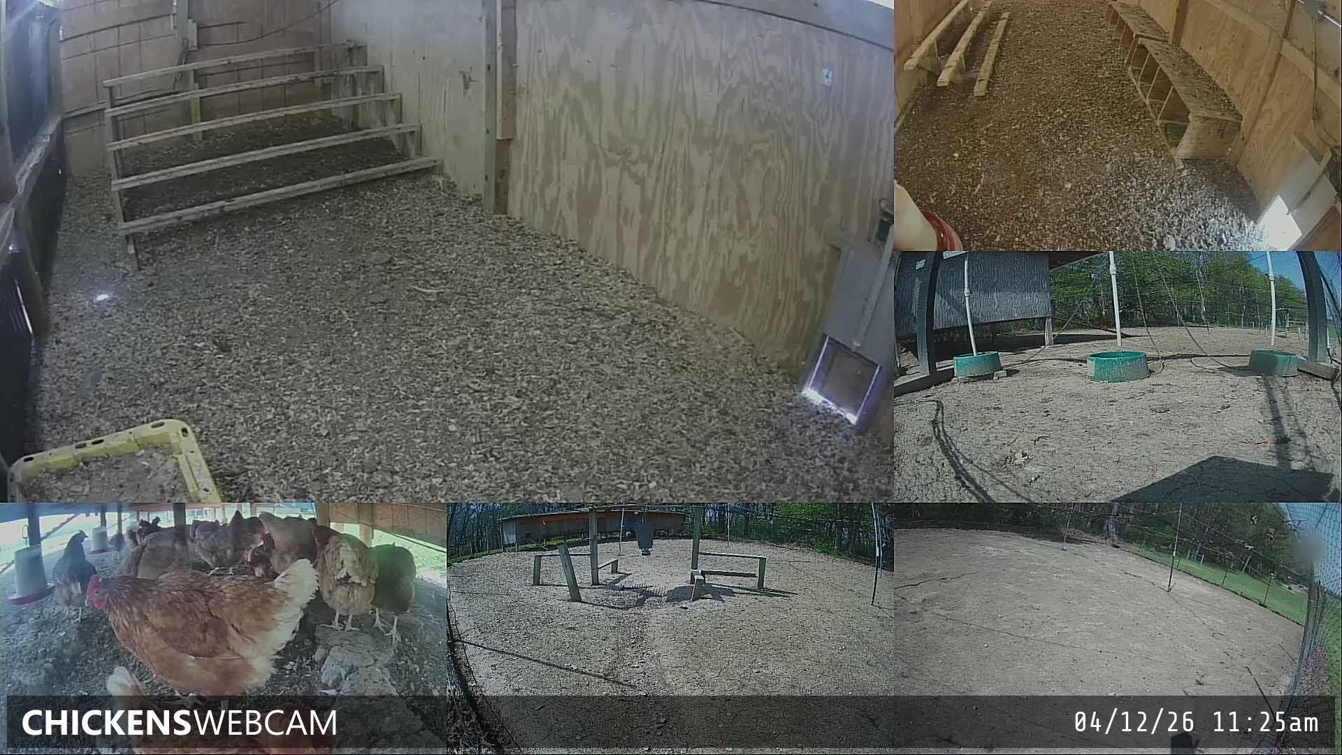 Twitch Stream Preview