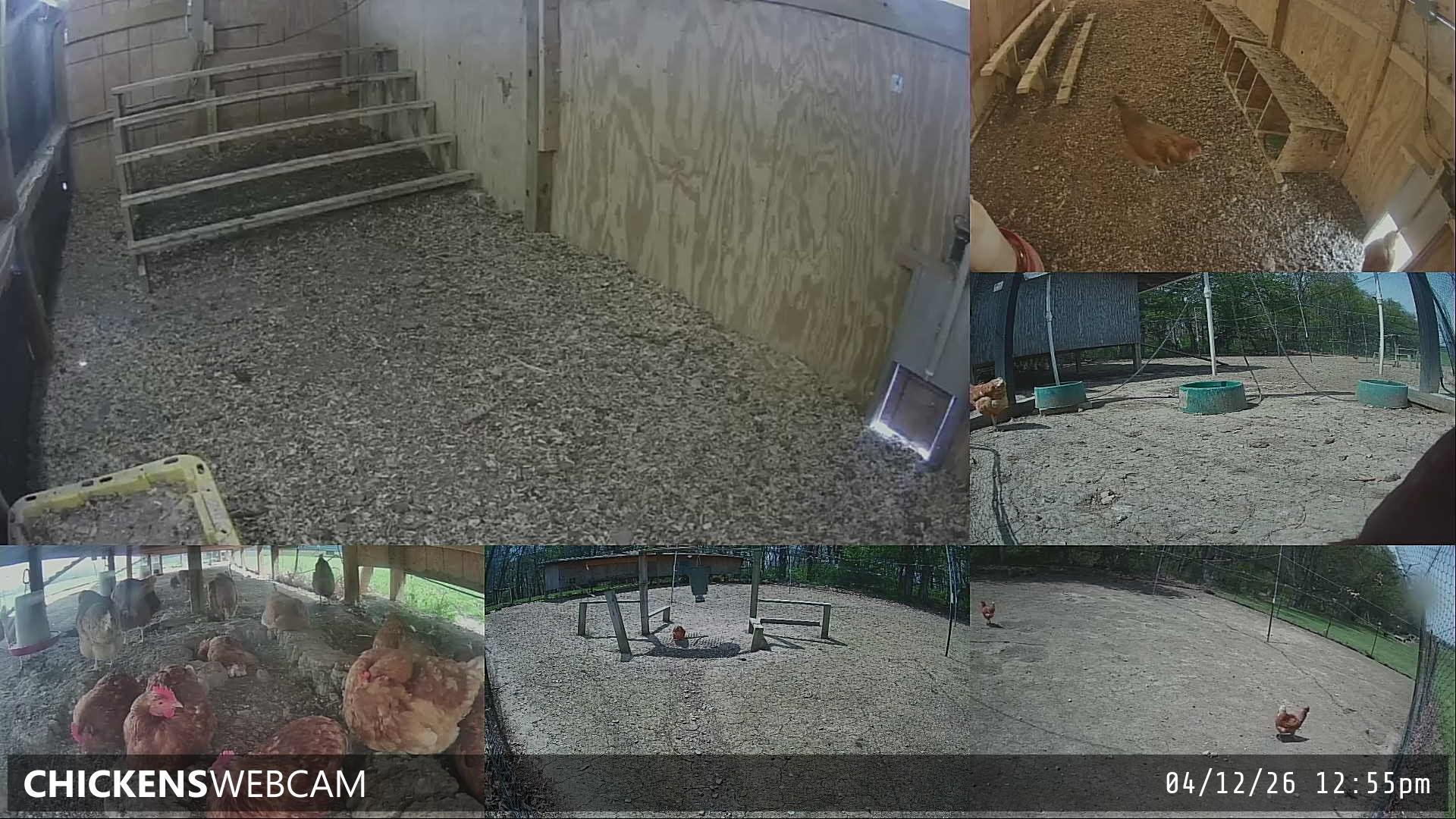 Twitch Stream Preview