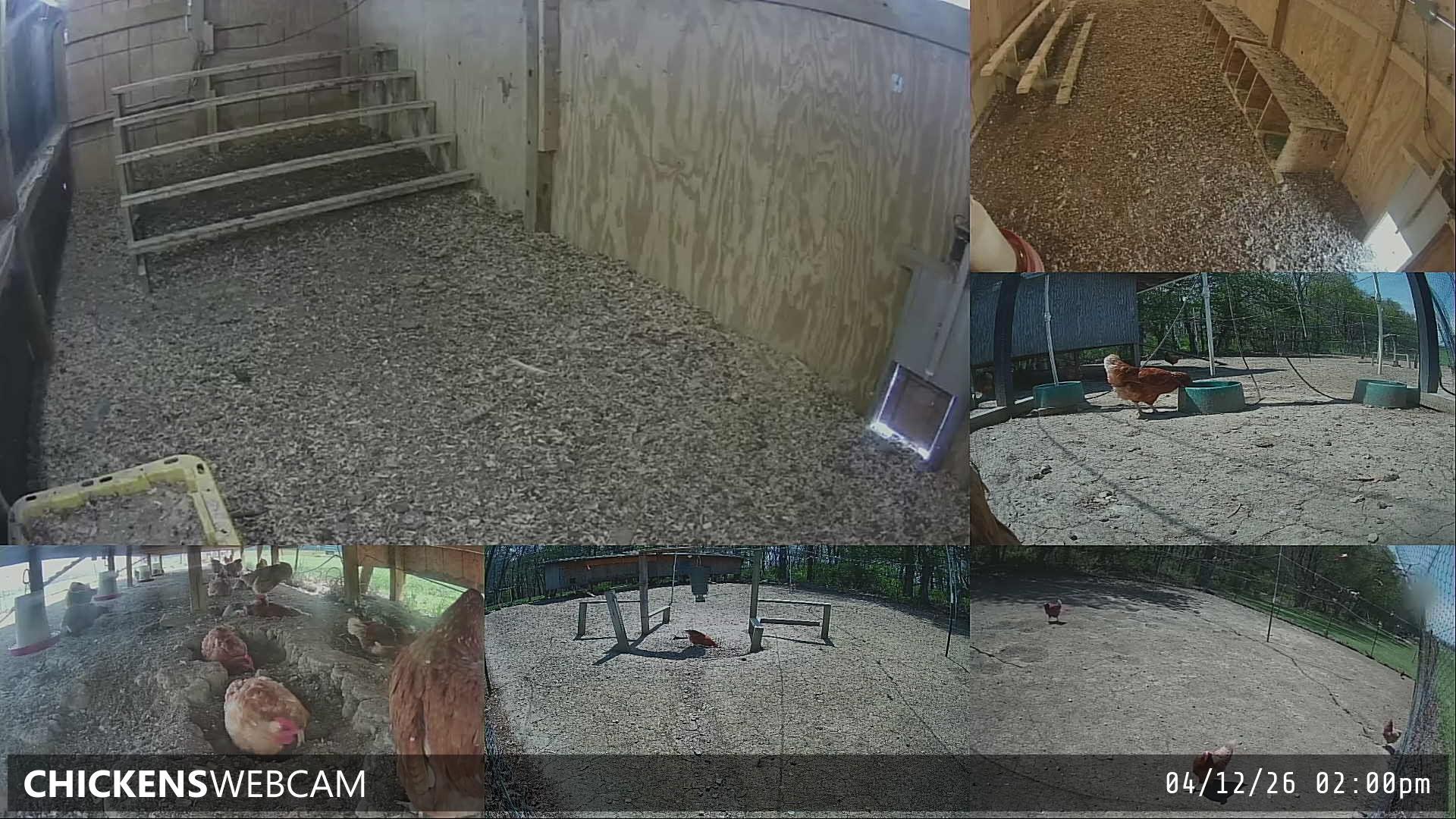 Twitch Stream Preview