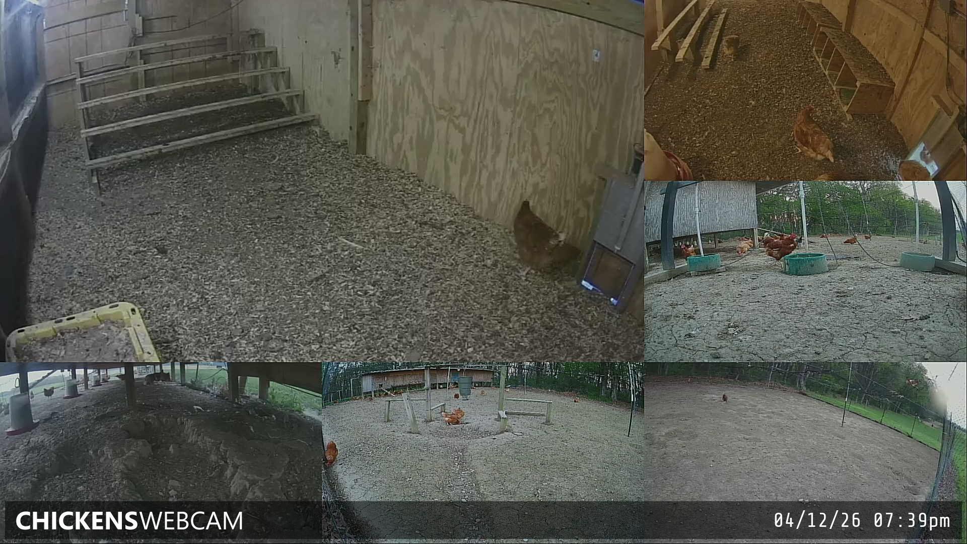 Twitch Stream Preview