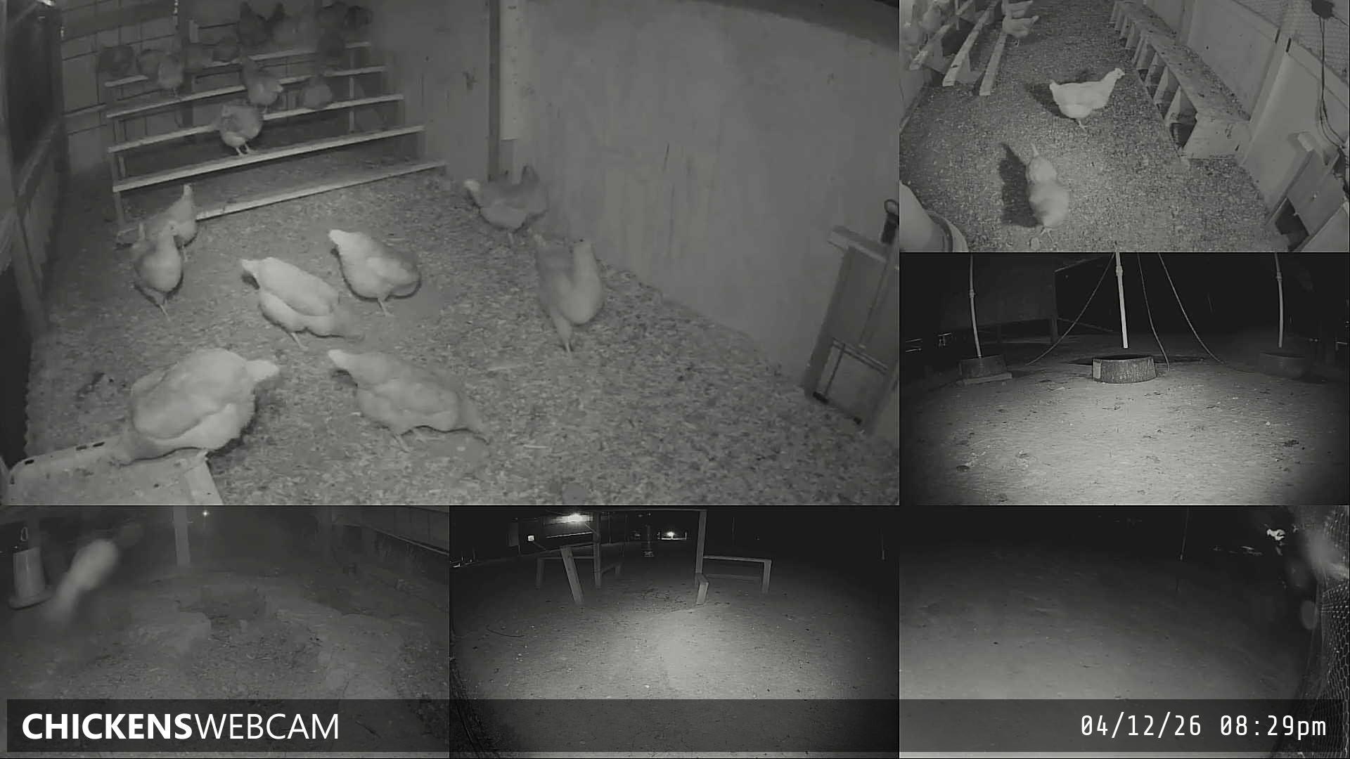 Twitch Stream Preview