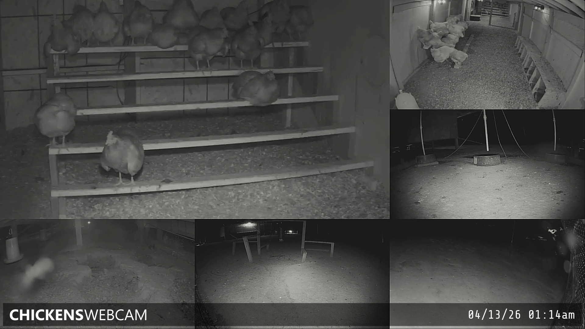 Twitch Stream Preview