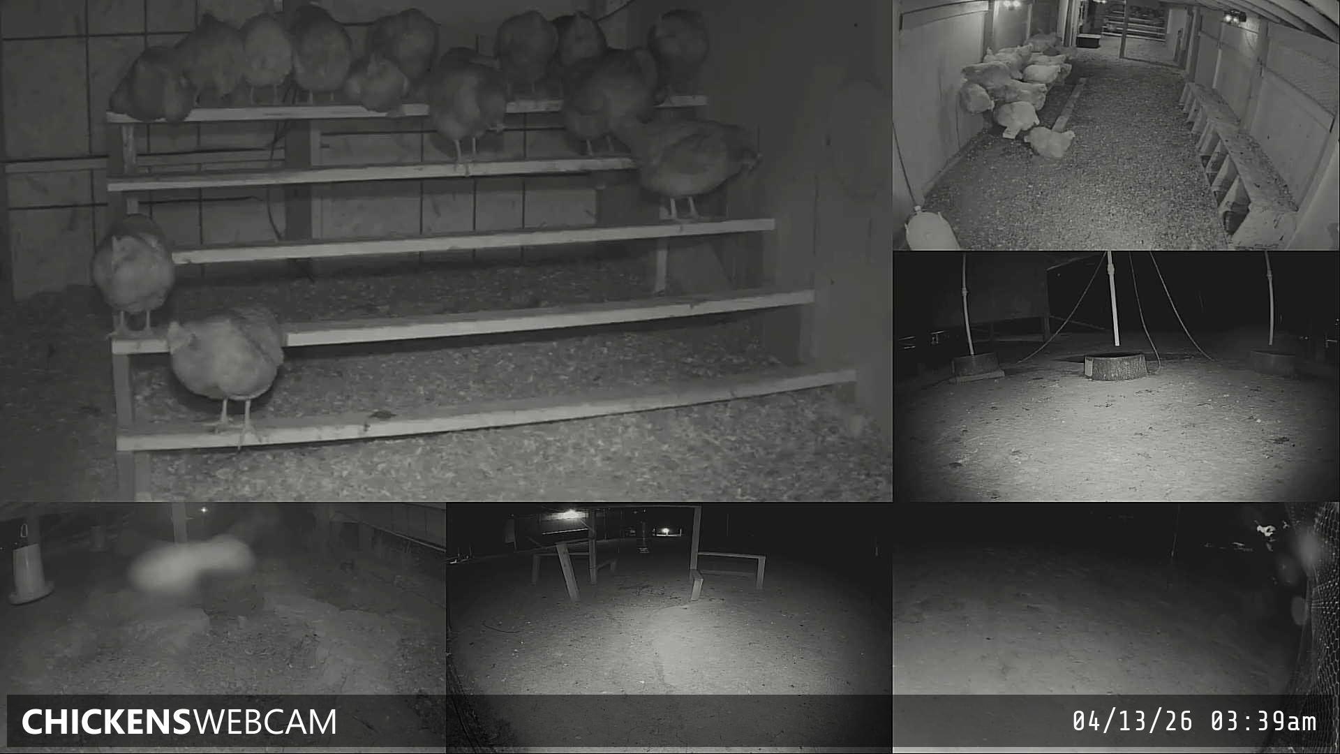 Twitch Stream Preview