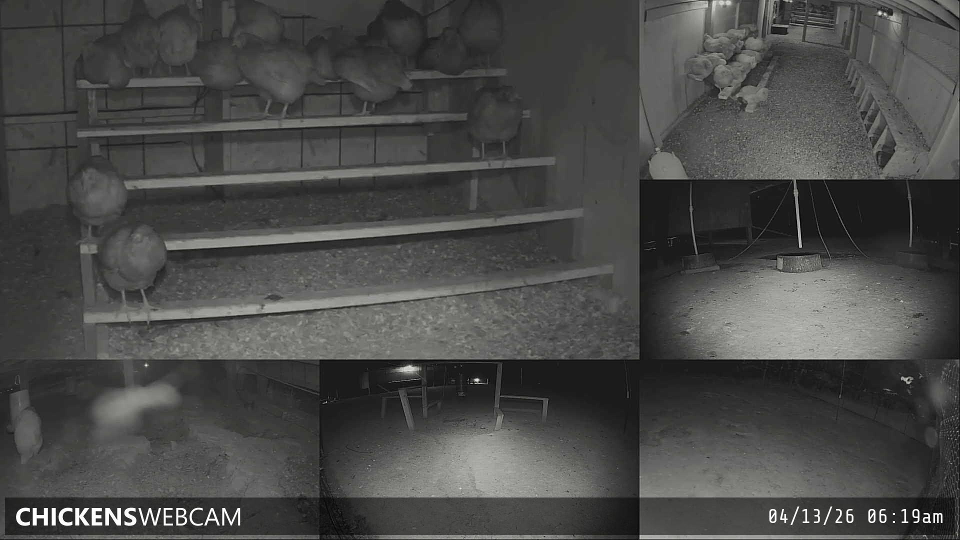 Twitch Stream Preview