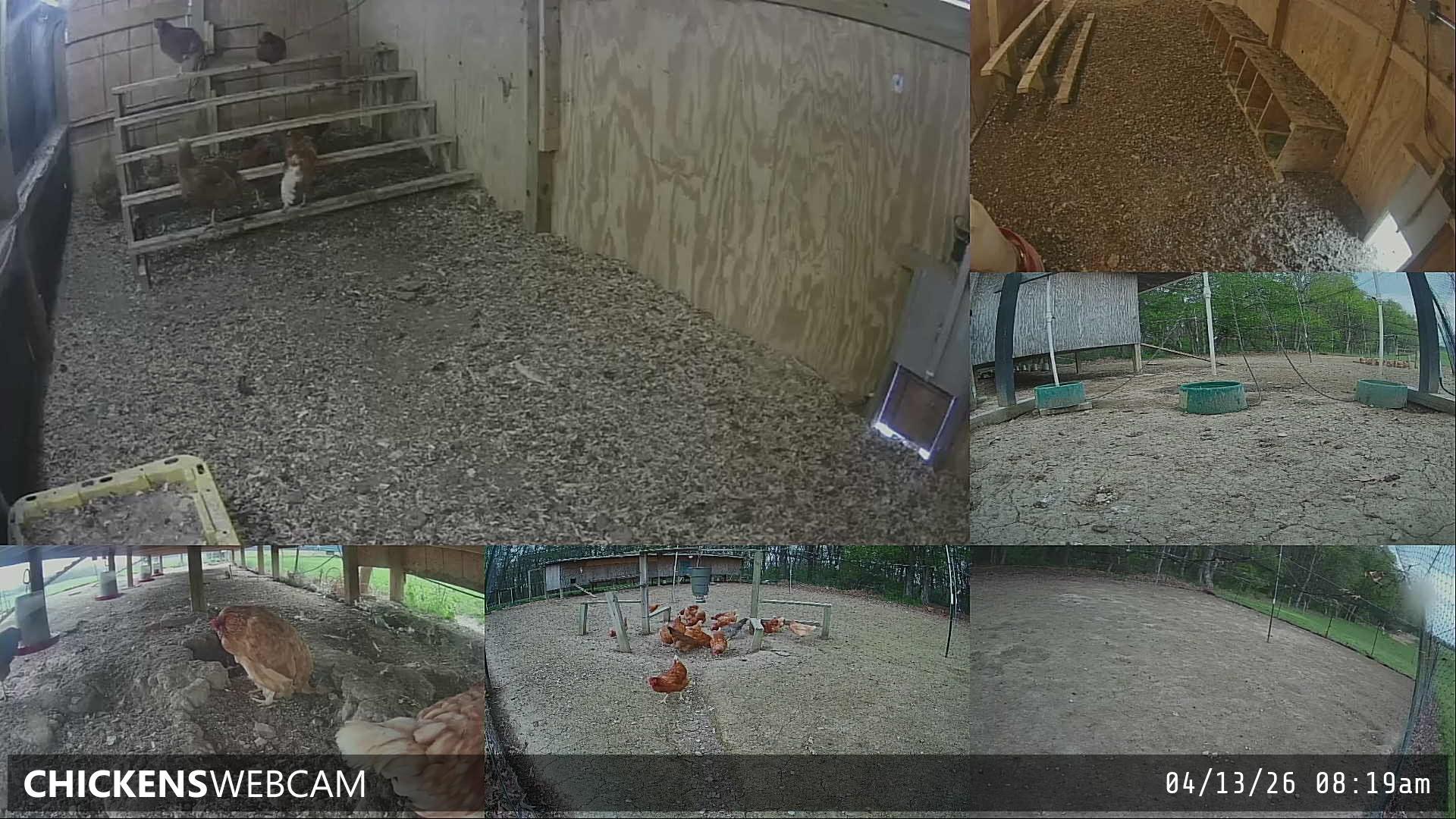 Twitch Stream Preview