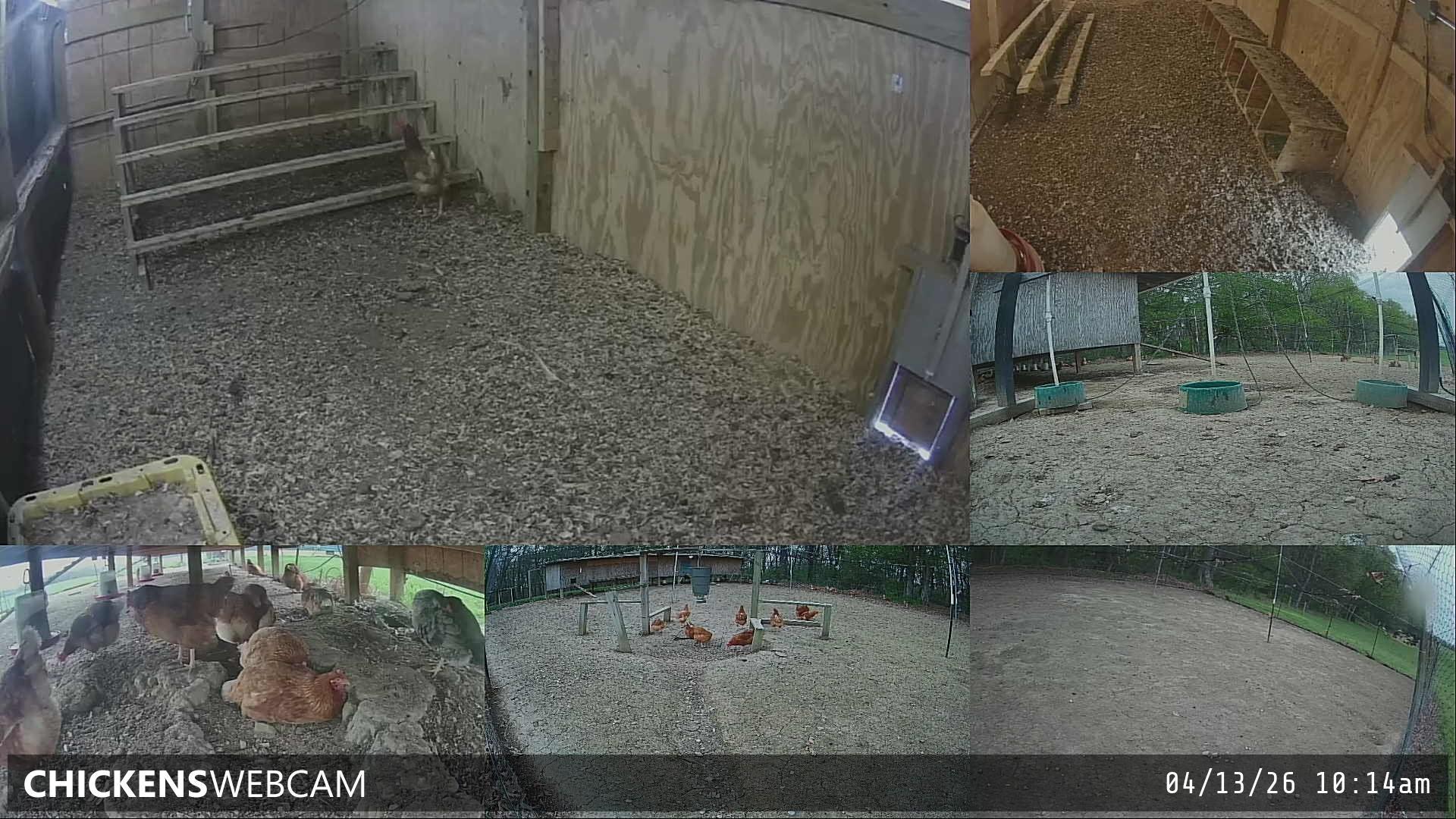 Twitch Stream Preview